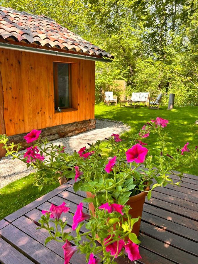 Appartement Chalet Prive Cosy à Malaussene Extérieur photo